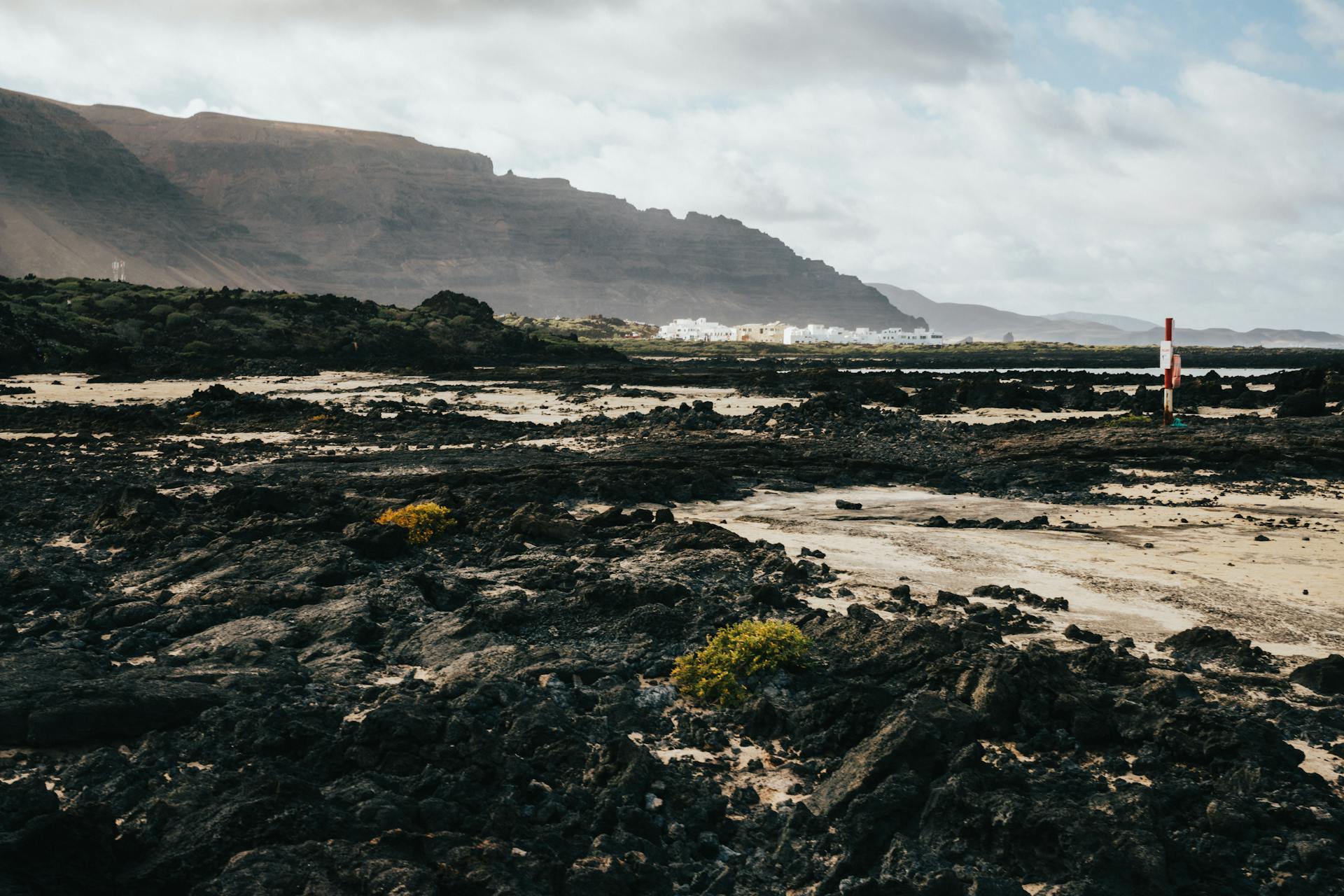 Network Error! Please Wait.