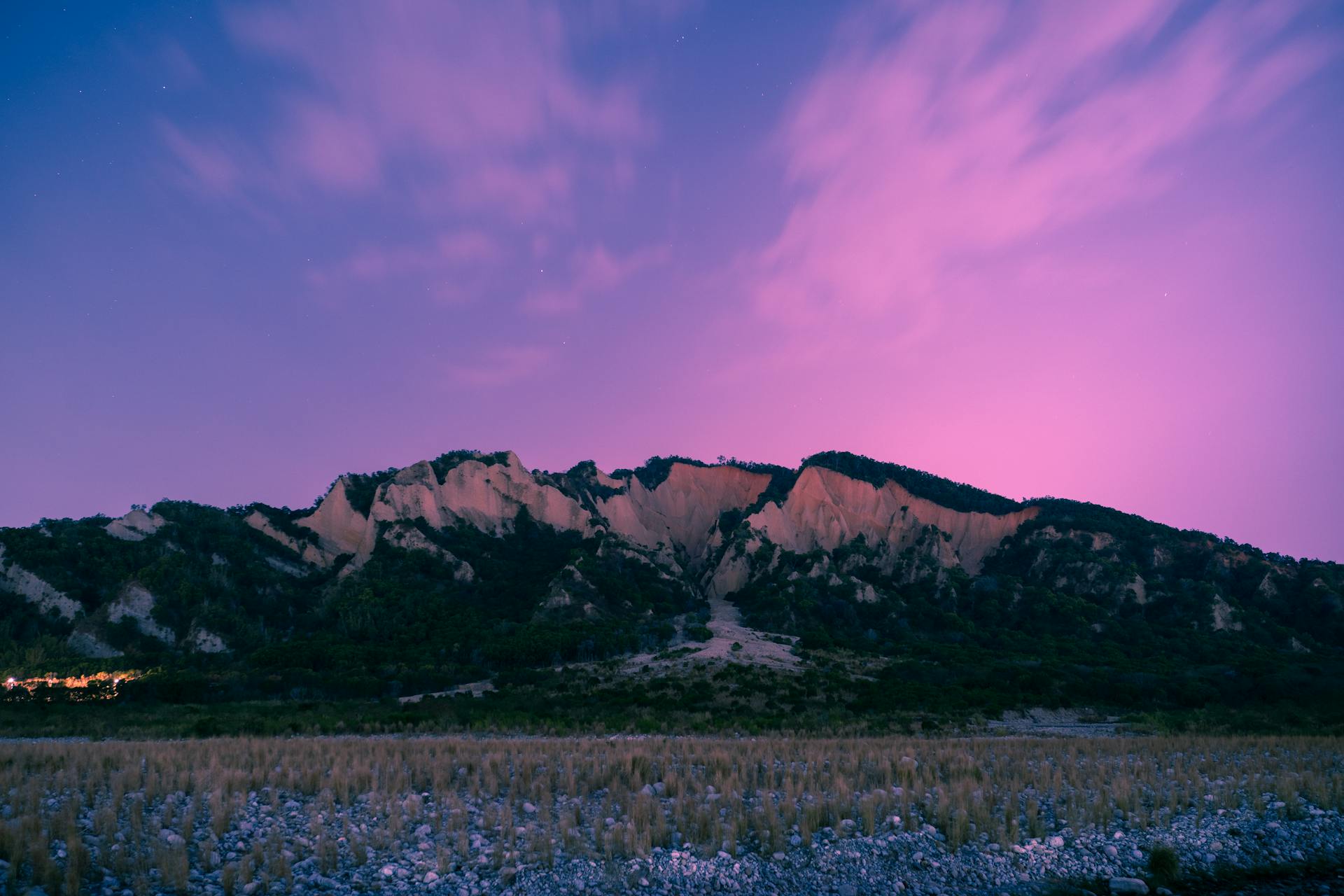 Network Error! Please Wait.