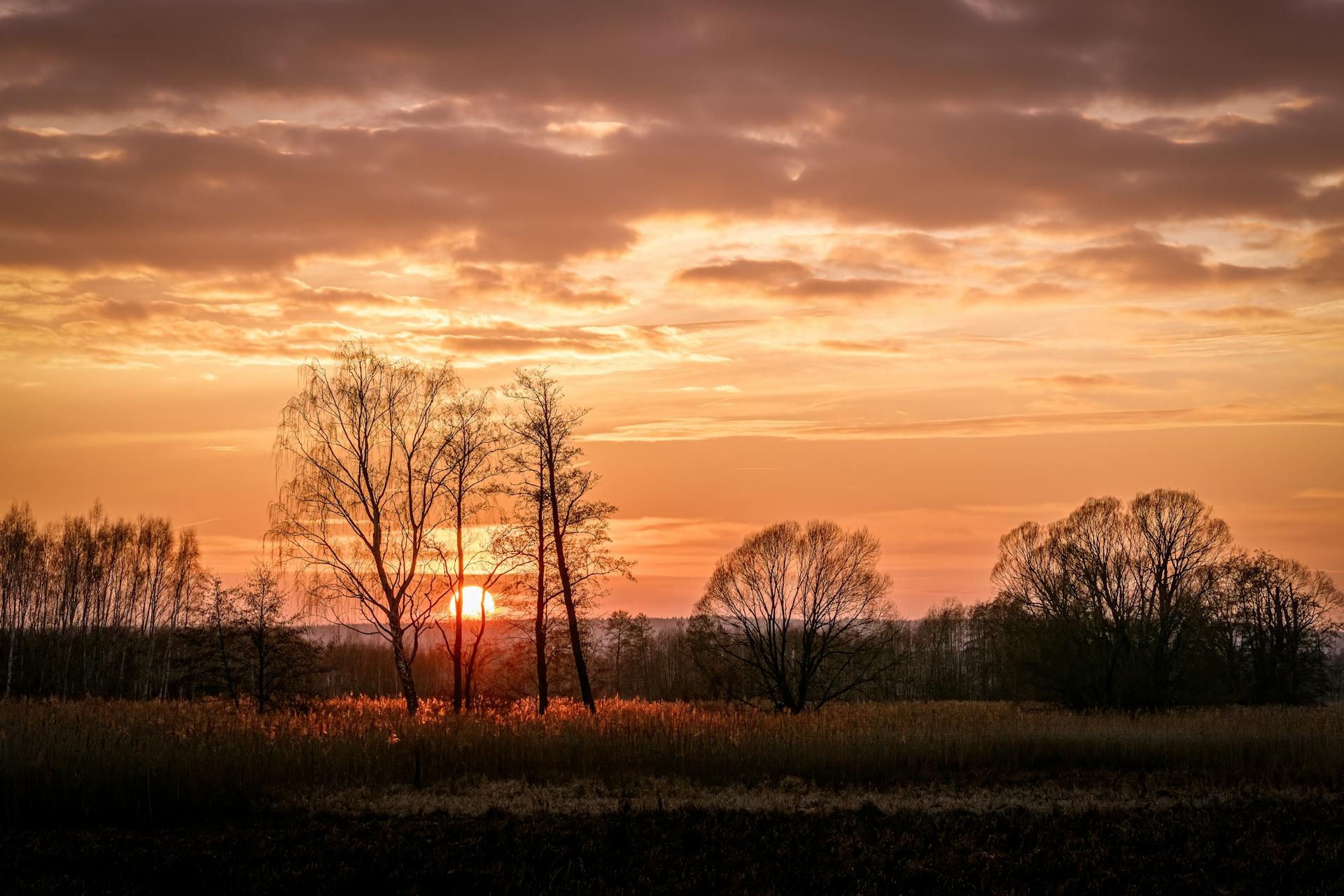 Network Error! Please Wait.