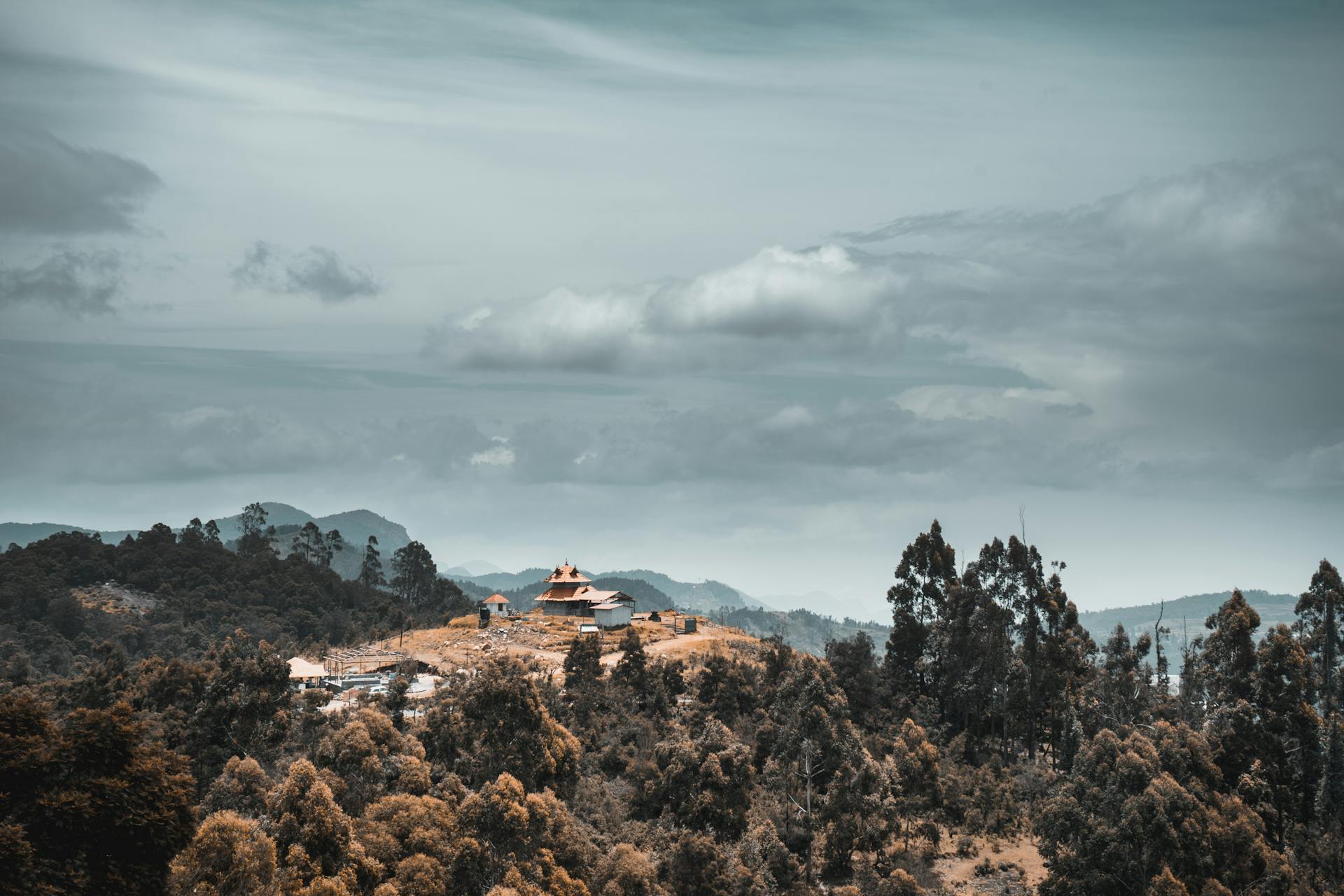 Network Error! Please Wait.